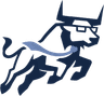 Digisteer